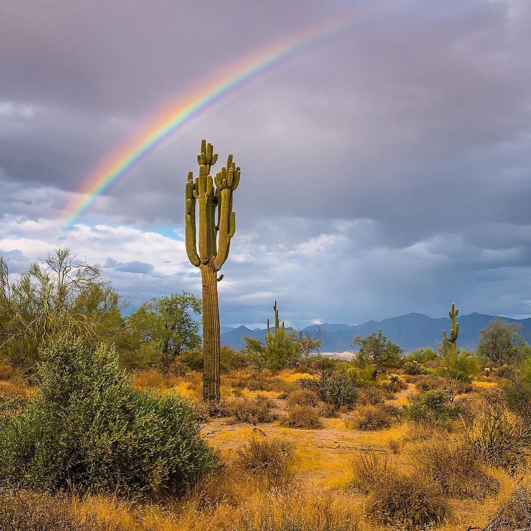 Boutique Hotel in Scottsdale | Hotel Adeline